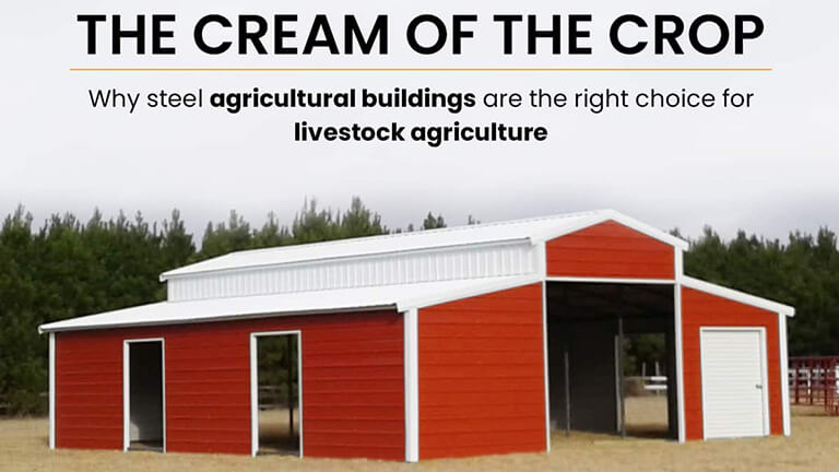 The Cream of the Crop – Why Steel Agricultural Buildings Are the Right Choice for Livestock Agriculture
