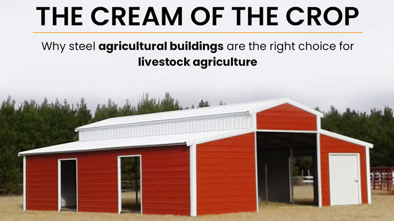 The Cream of the Crop - Why Steel Agricultural Buildings Are the Right Choice for Livestock Agriculture